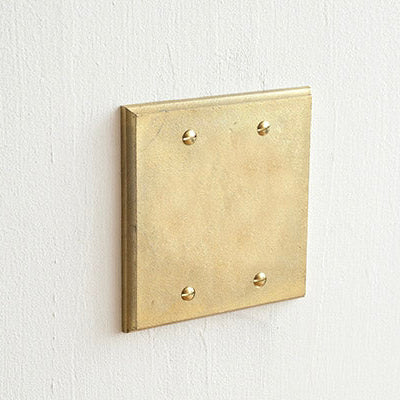 MATUREWARE Outlet Cover Plate for 2 Units