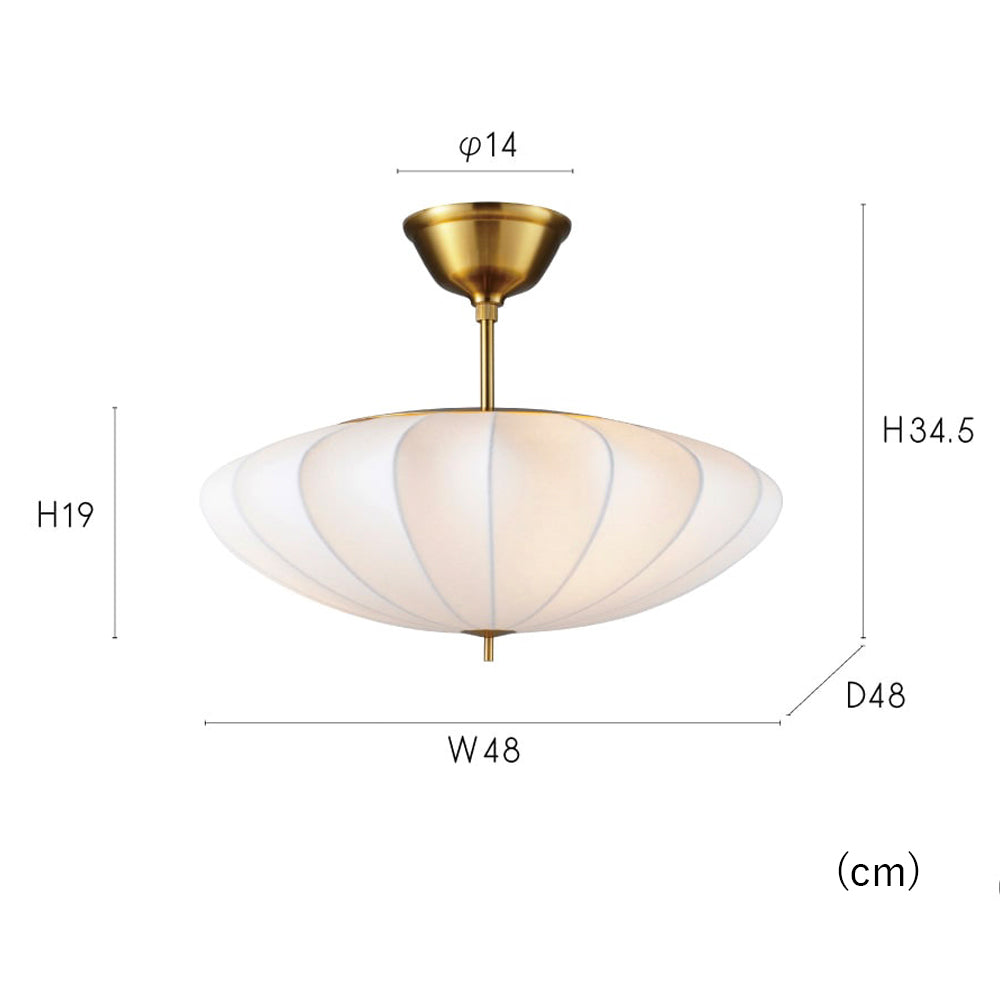 【取り寄せ】Pluie プリュイ シーリングライト