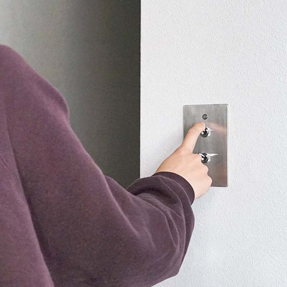 ステンレスプレート2スイッチ