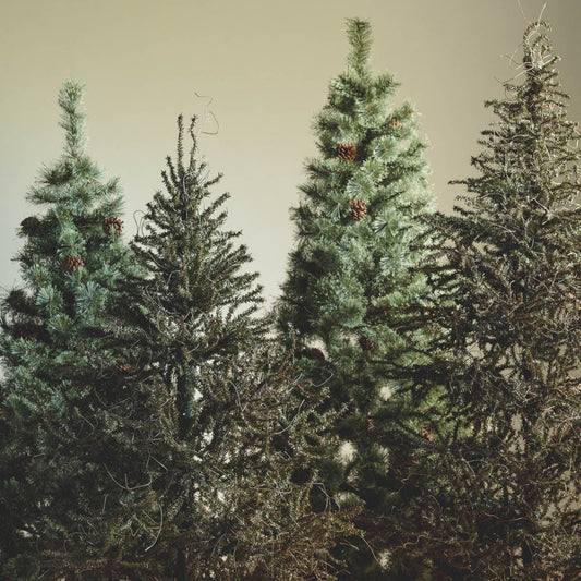 基本の3点セット（選べるツリー・カバー・ライト）