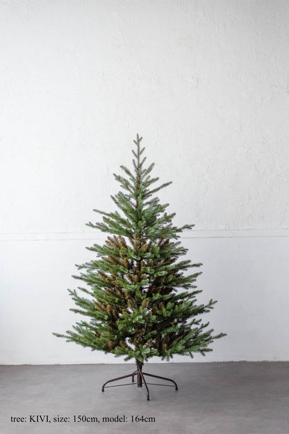 基本の3点セット（選べるツリー・カバー・ライト）