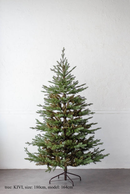 基本の3点セット（選べるツリー・カバー・ライト）