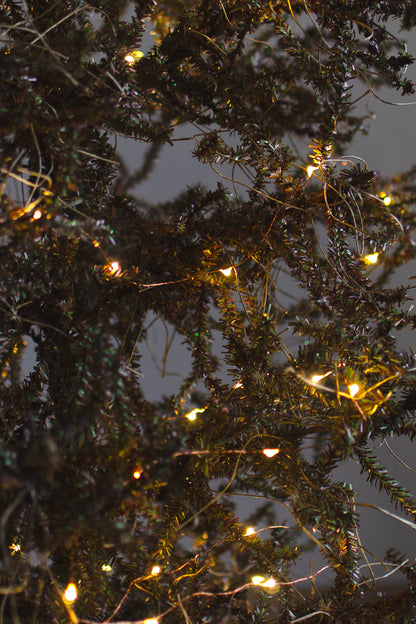 基本の3点セット（選べるツリー・カバー・ライト）