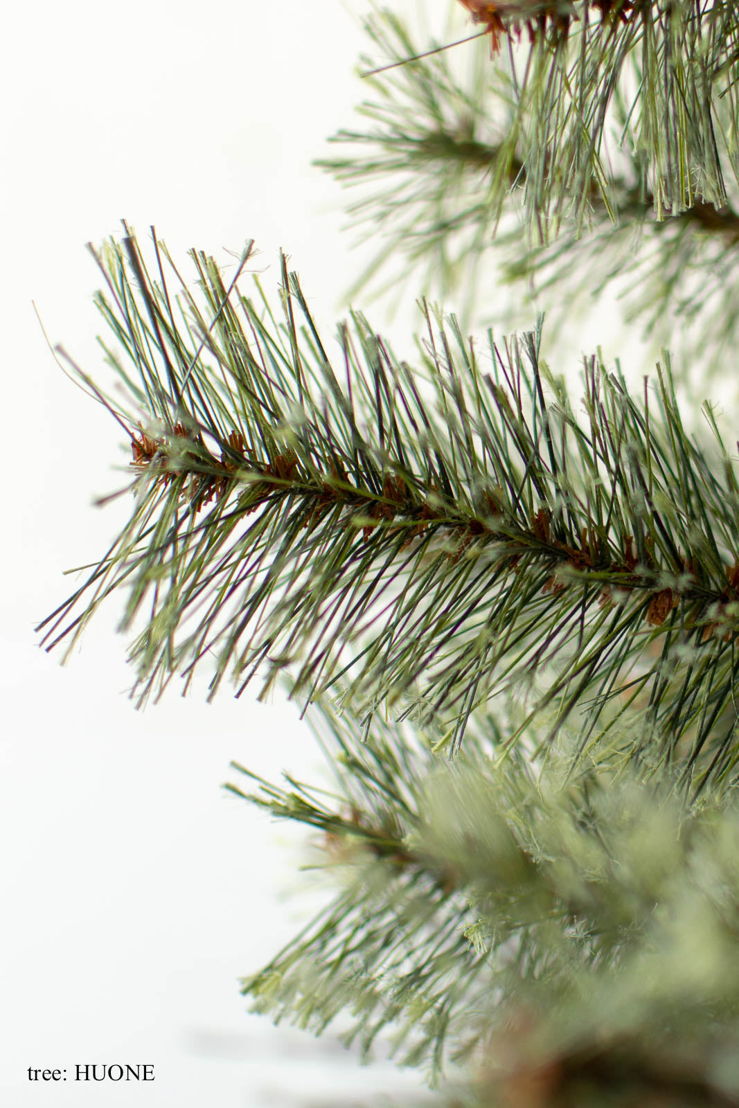 基本の3点セット（選べるツリー・カバー・ライト）