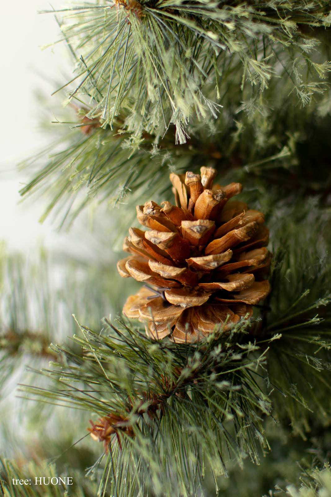 基本の3点セット（選べるツリー・カバー・ライト）