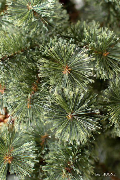 基本の3点セット（選べるツリー・カバー・ライト）