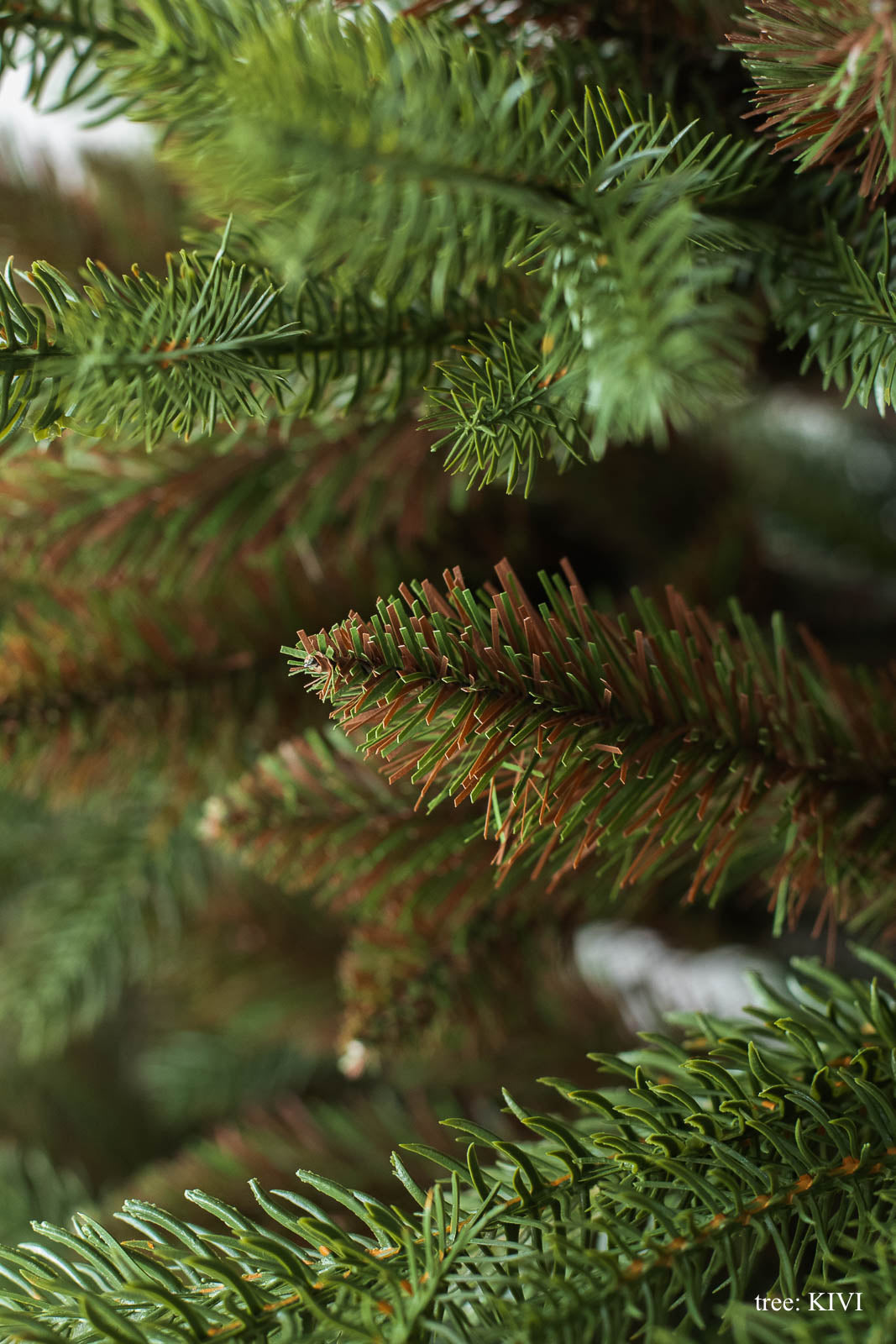 基本の3点セット（選べるツリー・カバー・ライト）