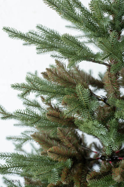 基本の3点セット（選べるツリー・カバー・ライト）