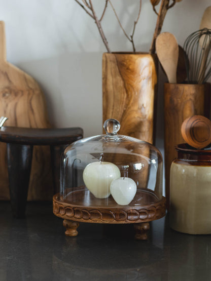 Pibre Low stand | ディスプレイスタンド