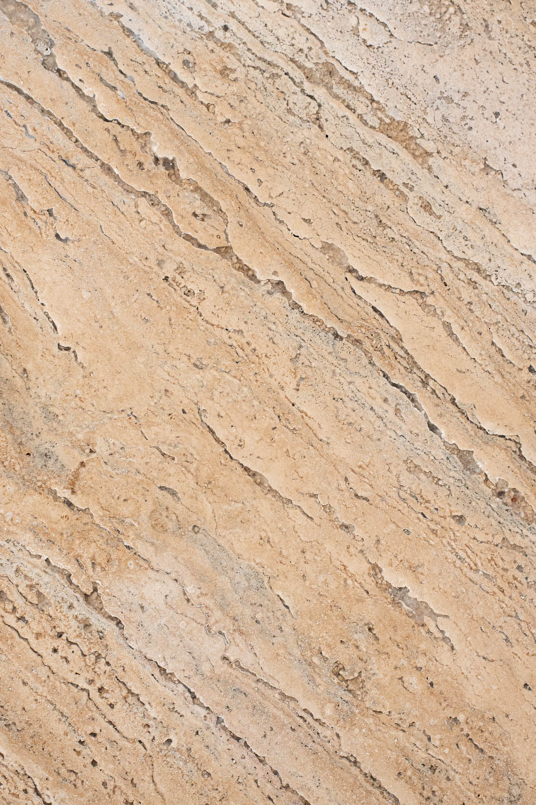 sed/met Cross Table φ750 Low | コーヒーテーブル