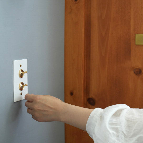 ホワイトスチールプレート ２スイッチ