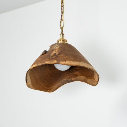 Natural Teak Pendant Light M ペンダントライト
