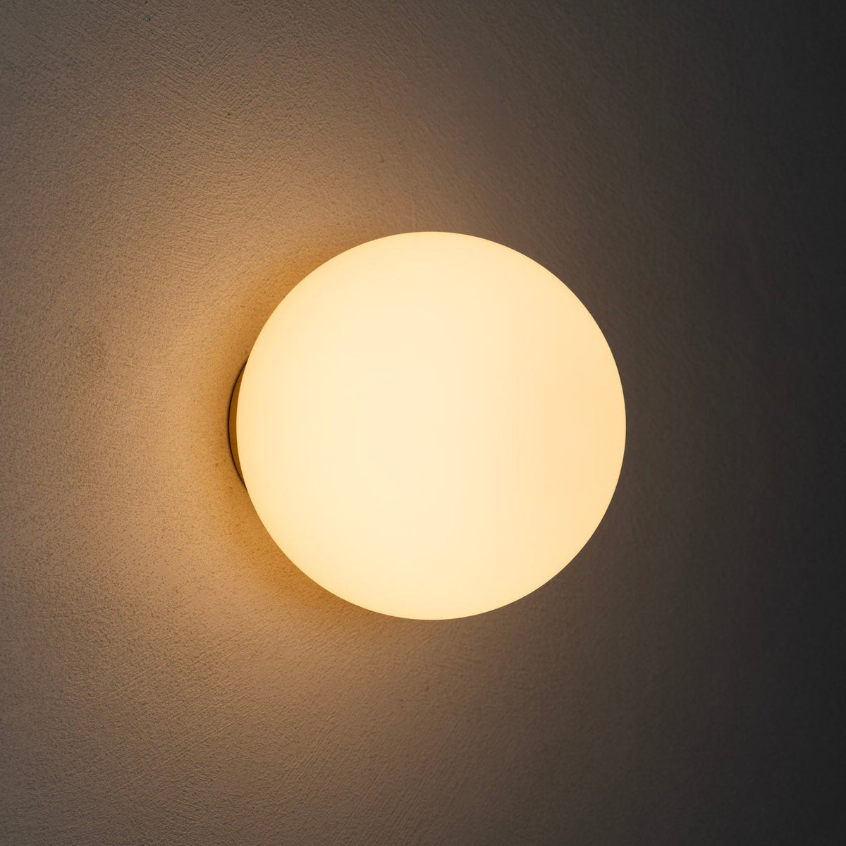 【受注生産】gyoku   [frost-150/brass]