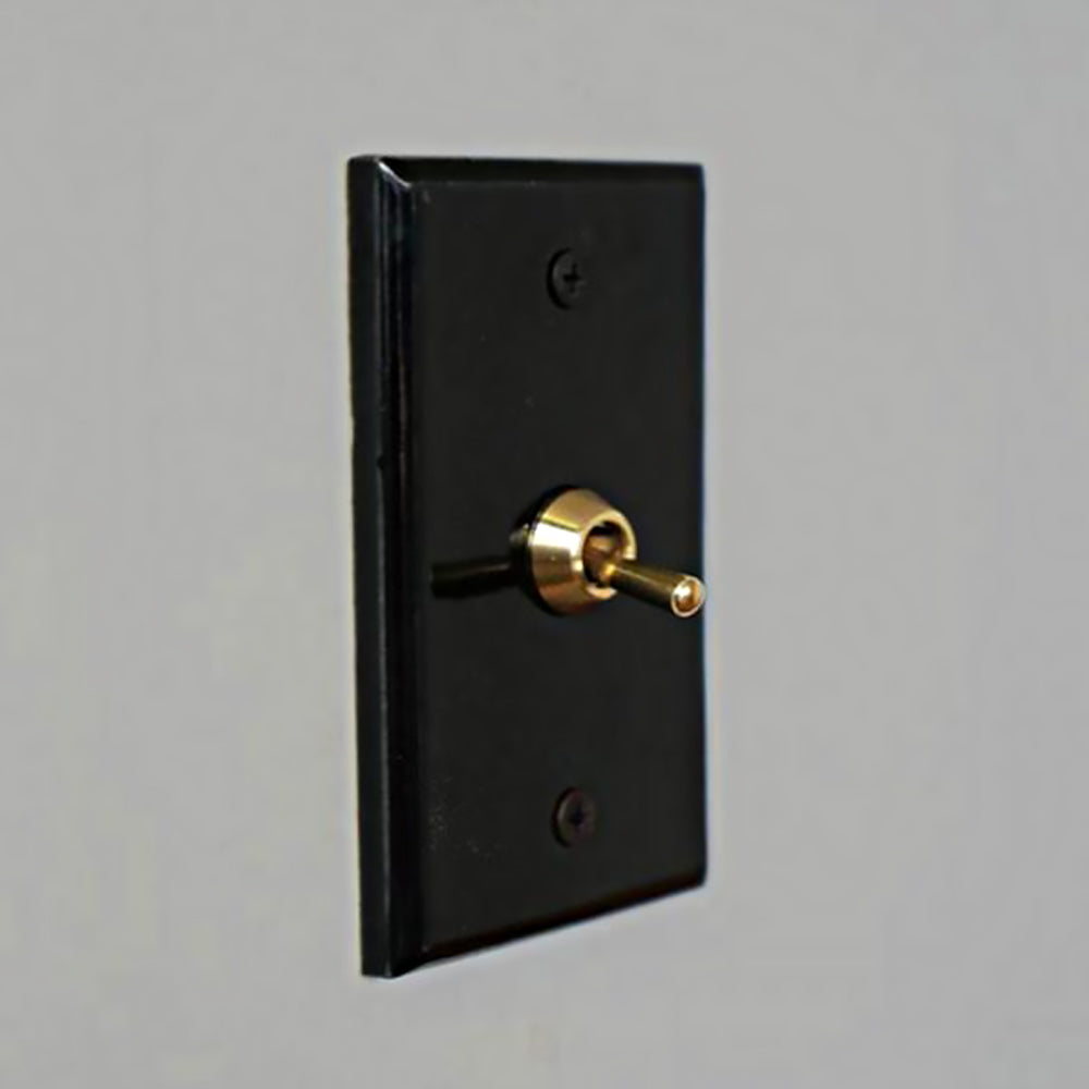 HAL出品 セラミックプレート2トグルスイッチ ホワイト | AXCIS ONLINE