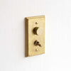 [Made to order] MATUREWARE Brass switch plate 2 outlets (0712-2) 1 dimming position