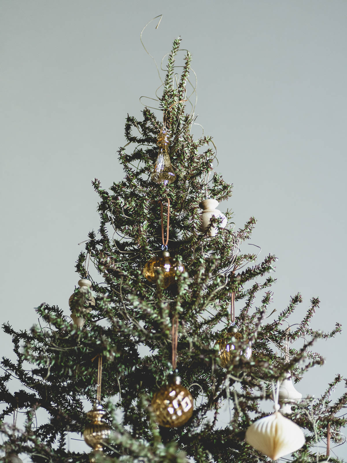 URHO Christmas Tree 170cm – PARTS & SUPPLY